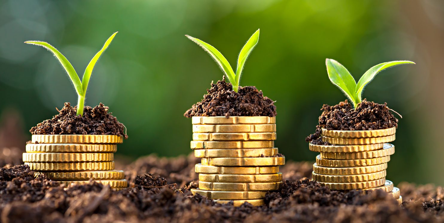 Plano Safra 2025/26: desembolsos caem 25% no primeiro mês com alta de juros e incerteza Plano Safra 2025/26: desembolsos caem 25% no primeiro mês com alta de juros e incerteza