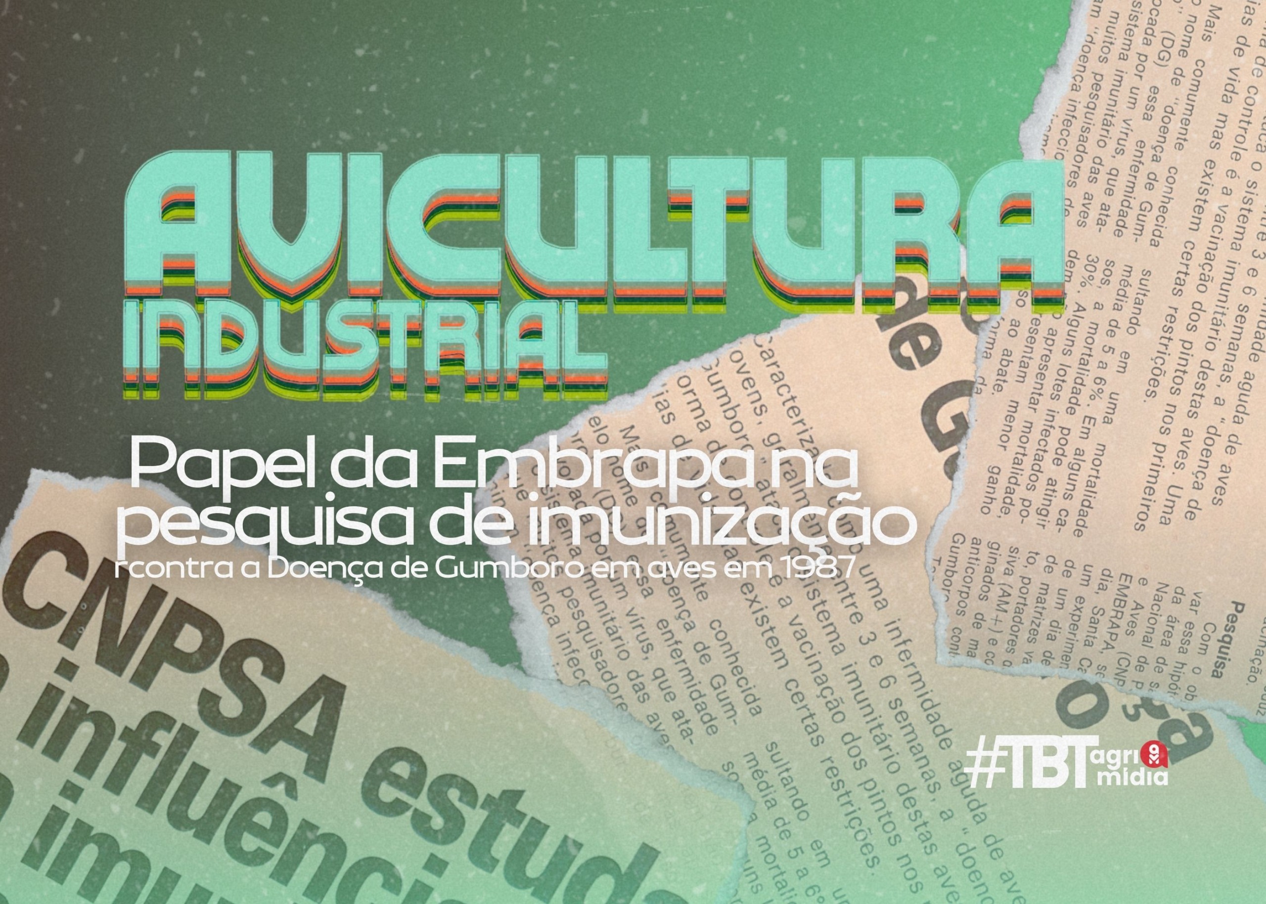 #TBT Agrimidia: papel da Embrapa na pesquisa de imunização contra a Doença de Gumboro em aves #TBT Agrimidia: papel da Embrapa na pesquisa de imunização contra a Doença de Gumboro em aves
