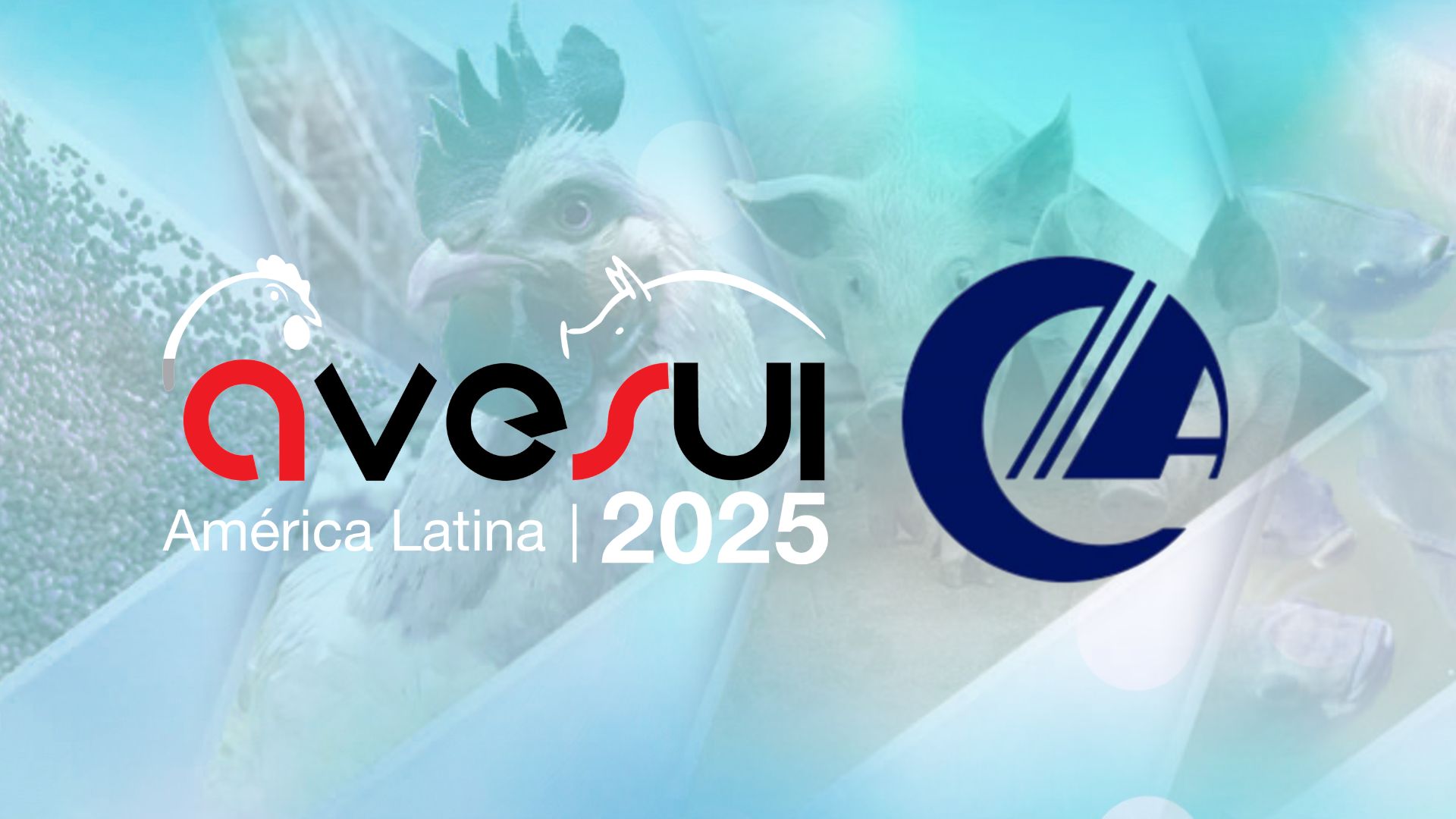 Mercado chinês na mira: delegação confirma presença na AveSui 2025 em busca de fornecedores e parcerias