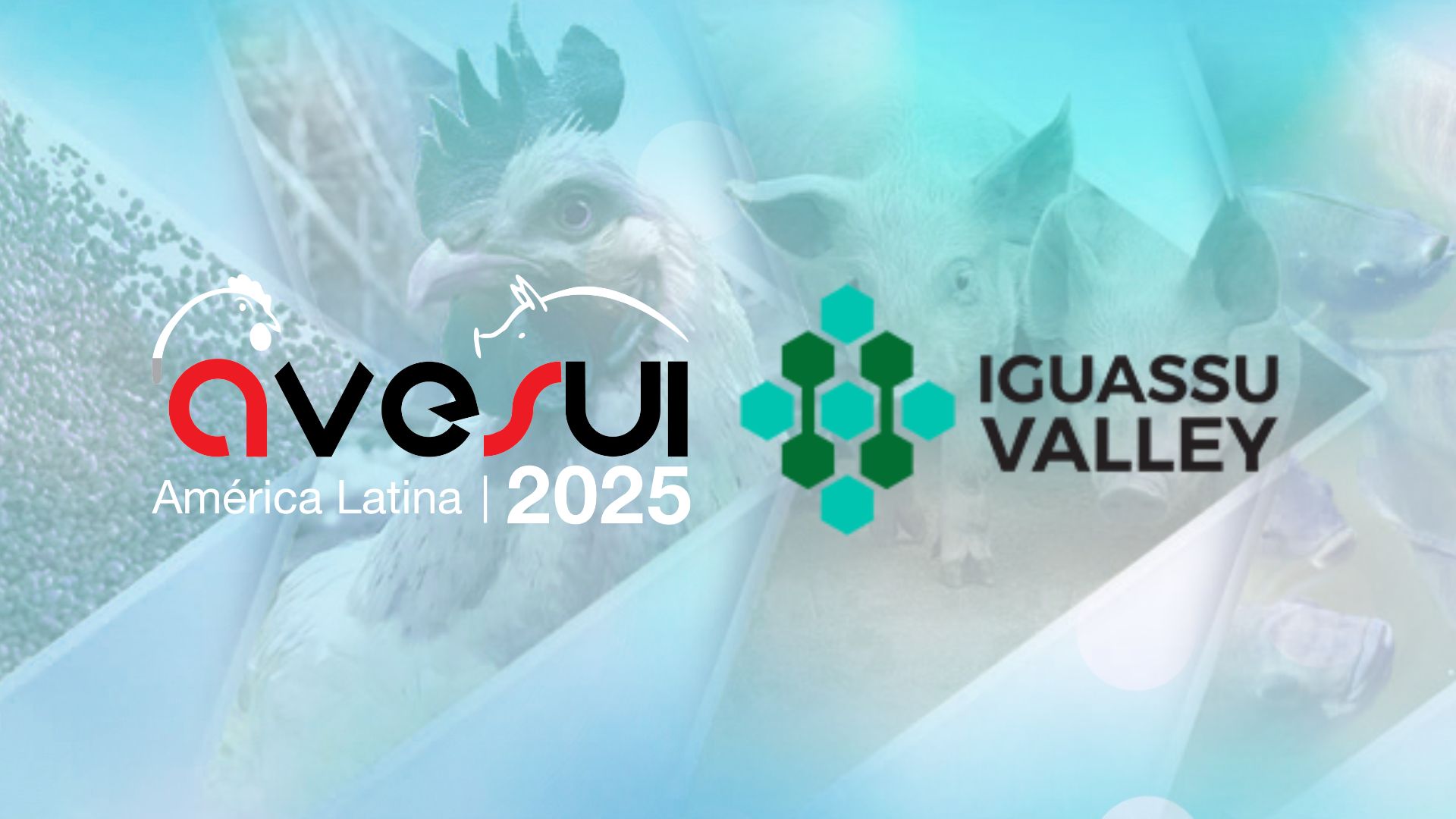Startups do agro na AveSui 2025 prometem mostrar o futuro da inovação no campo