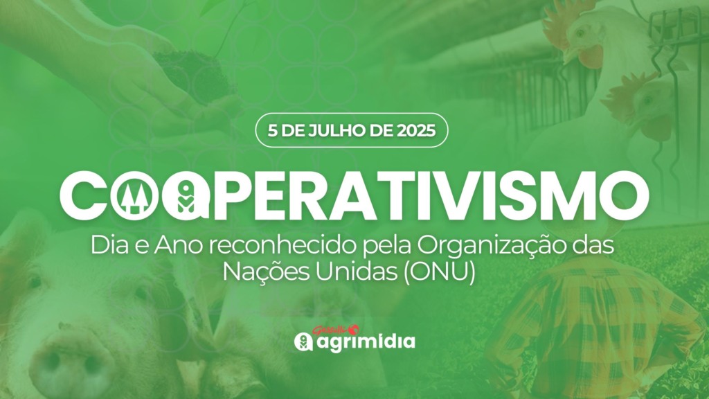 Cooperativismo celebra Dia e Ano Internacional reconhecido pela ONU