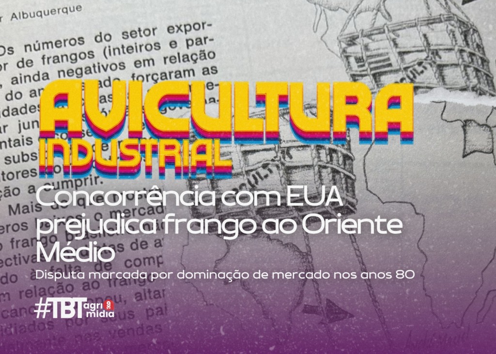 #TBT Agrimidia: Concorrência com EUA prejudica frango do Brasil ao Oriente Médio na década de 80