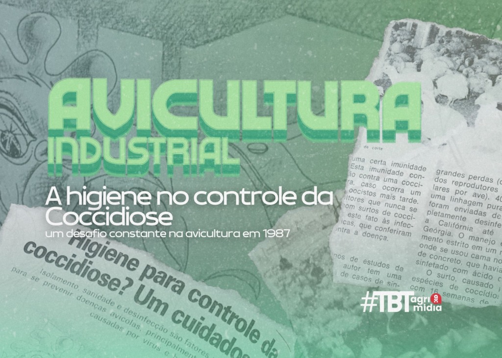#TBT Agrimidia: a higiene no controle da Coccidiose em 1987