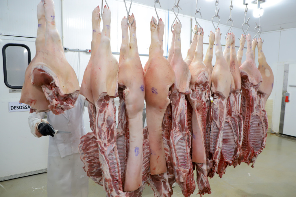 Paraná tem melhor semestre desde 1997 em exportações de suínos com 110,7 mil toneladas