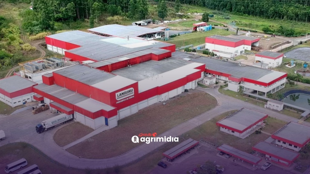 Como a crise da Languiru levou um frigorífico avaliado em R$ 169 milhões ao leilão? Entenda