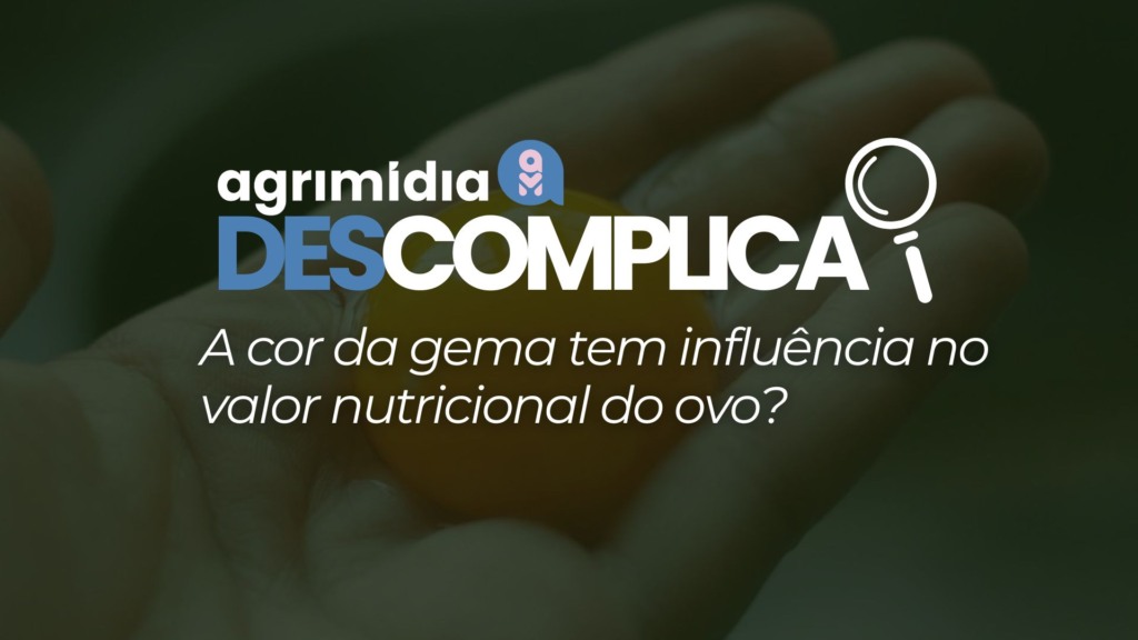 Agrimidia Descomplica: A cor da gema tem influência no valor nutricional do ovo?