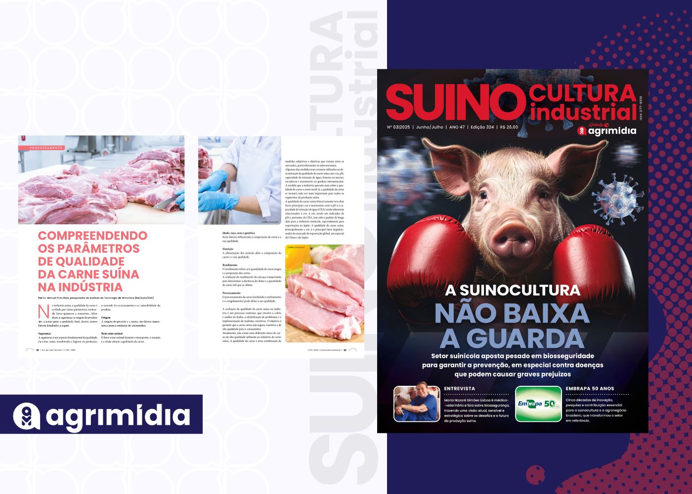 Compreendendo os parâmetros de qualidade da carne suína na indústria na Suinocultura Industrial