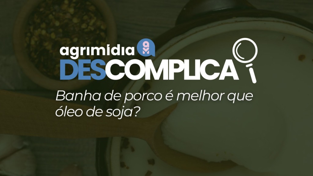 Agrimidia Descomplica: Banha de porco é melhor que óleo de soja?