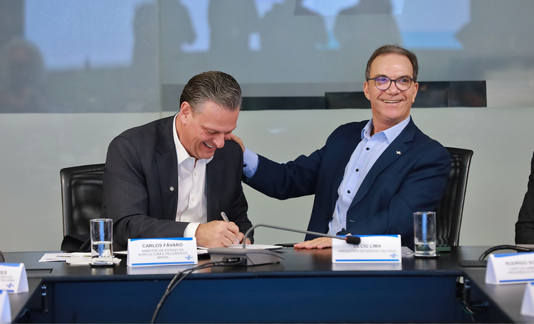 Mapa e Sebrae firmam acordo para fortalecer Sisbi-POA e Selo Arte