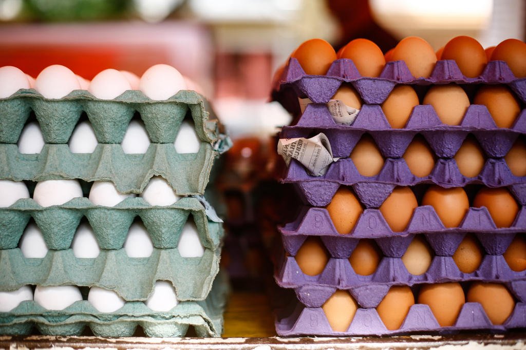 Recuo da demanda interrompe alta dos preços dos ovos no mercado brasileiro