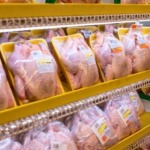 Bioativos da azeitona aumentam resiliência e qualidade da carne avícola