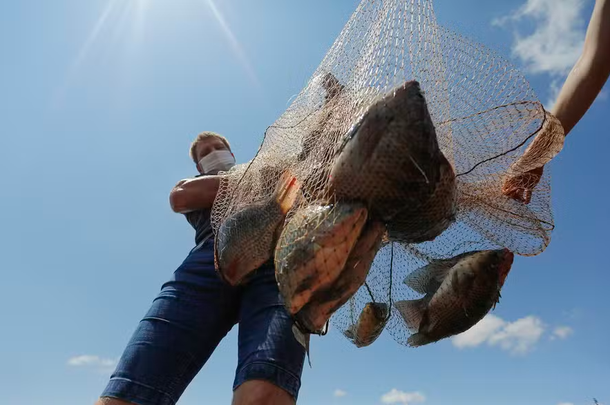 Setor de pescados lamenta falta de respostas concretas do governo diante do tarifaço