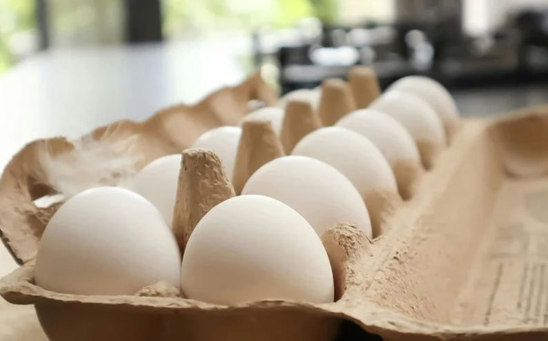 Preços dos ovos sobem até 7% em uma semana com vendas firmes e estoques ajustados