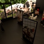 ABPA leva exposição sobre a avicultura e suinocultura brasileiras à Expo Osaka 2025