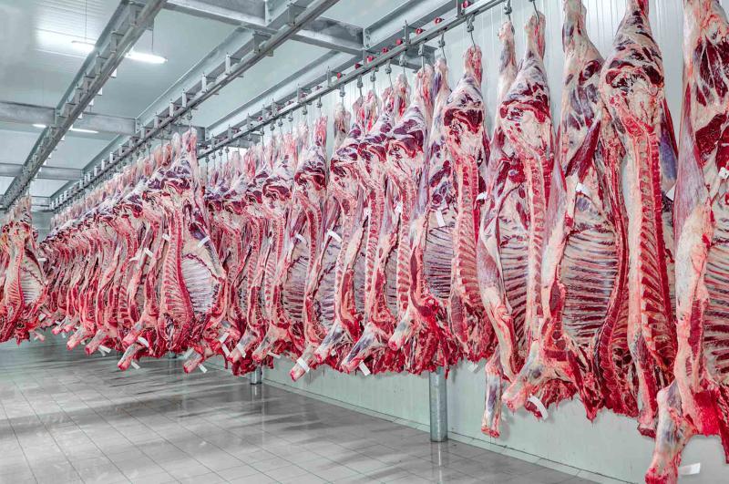 México se torna o 2º maior comprador de carne bovina do Brasil e ultrapassa EUA