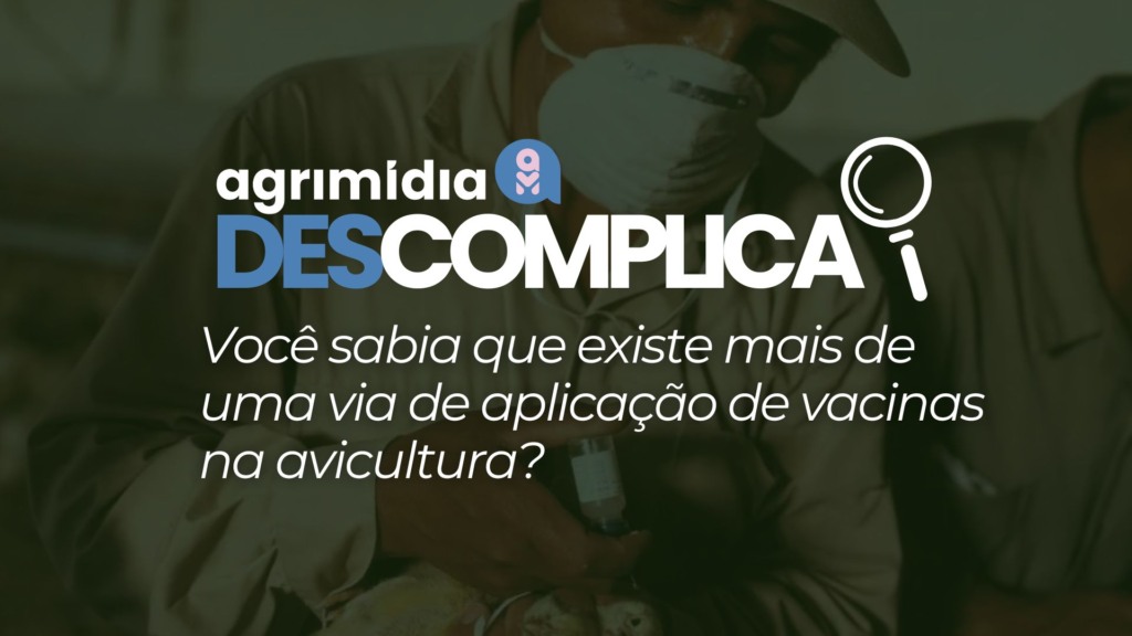 Agrimidia Descomplica: Você sabia que existe mais de uma via de aplicação de vacinas na avicultura?