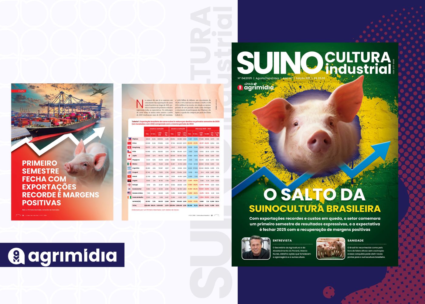 Primeiro semestre fecha com exportações recorde e margens positivas na Suinocultura Industrial de Agosto