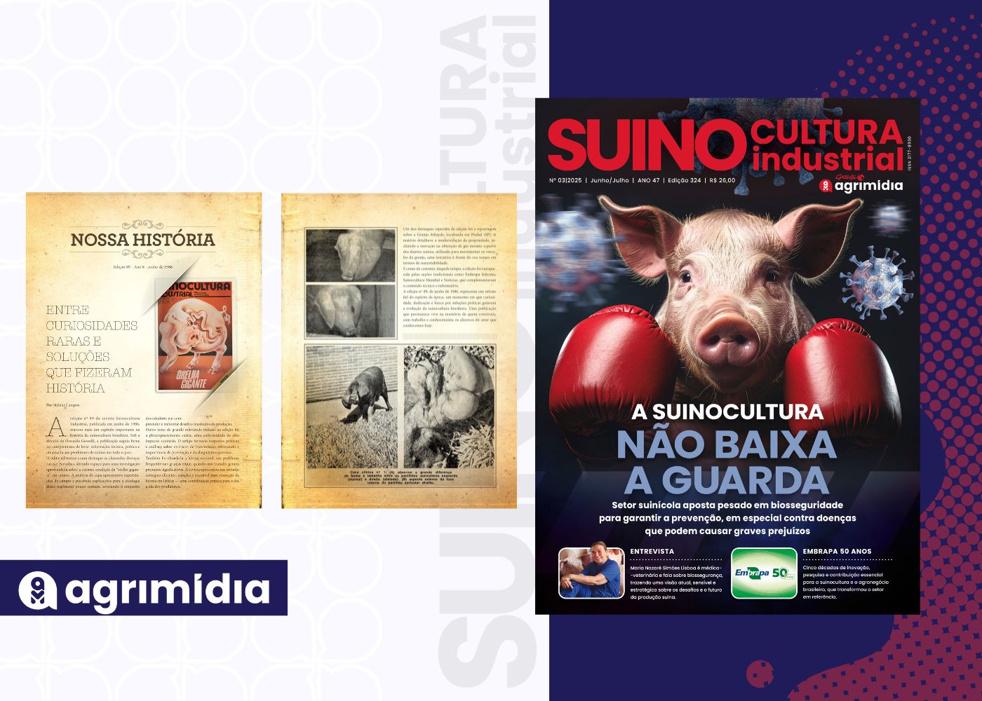 Entre curiosidades raras e soluções que fizeram história na Suinocultura Industrial de Junho