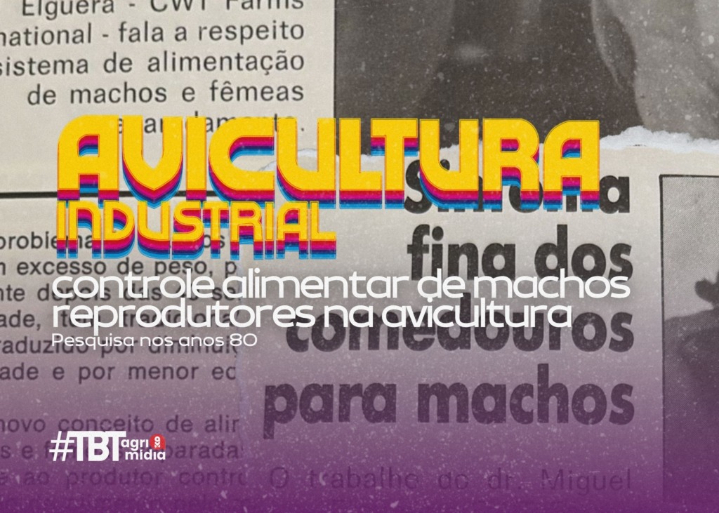 #TBT Agrimidia: controle alimentar de machos reprodutores na avicultura em 1980