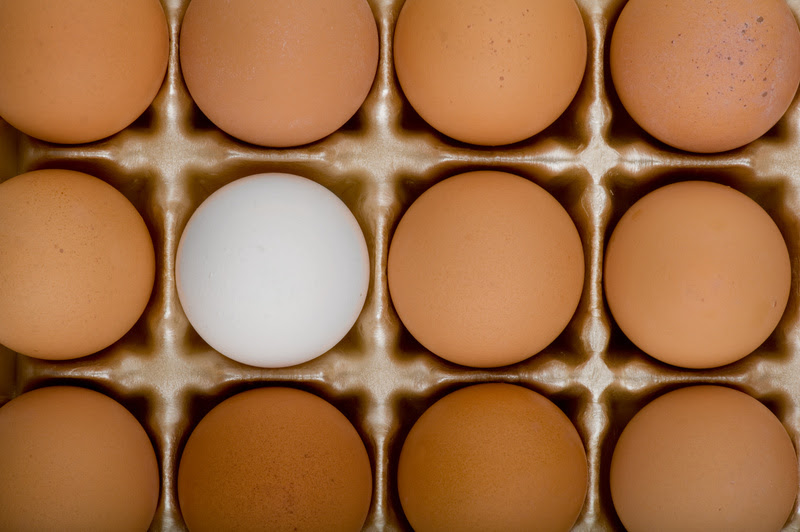 Cadeia produtiva de ovos amplia integração com o varejo e investe em valor agregado