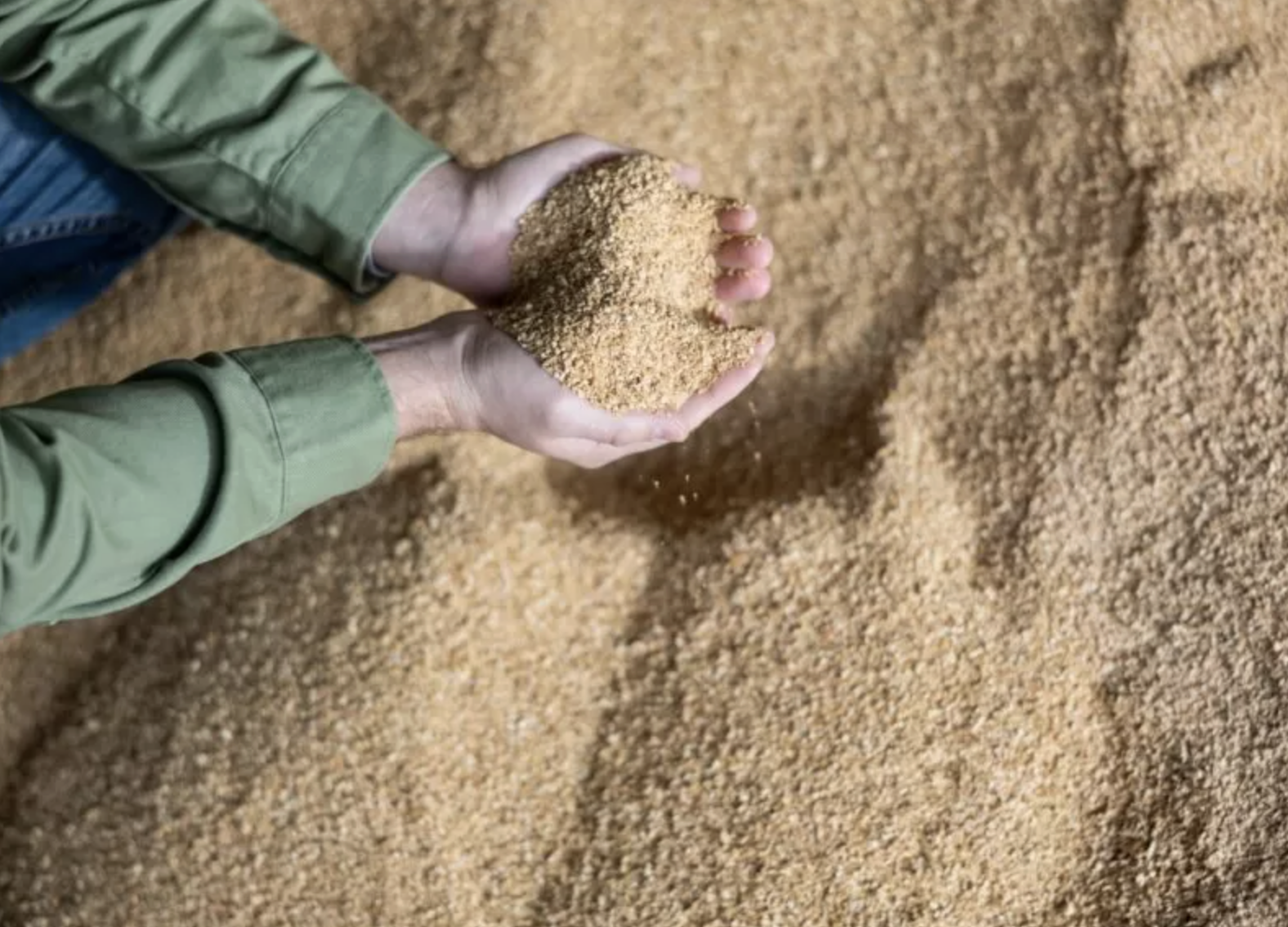 Dinâmica do mercado de proteína e alimentação animal será debatida na AveSui 2025