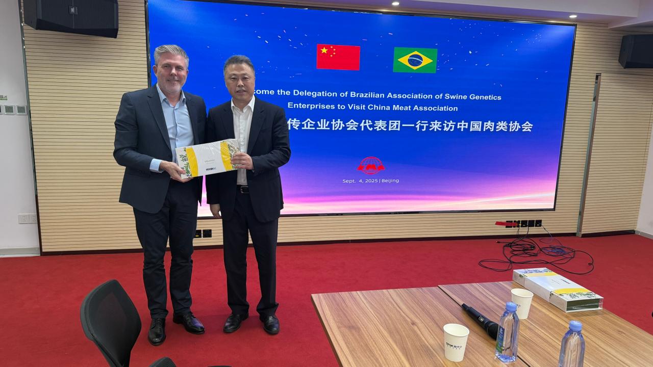 ABEGS fortalece presença internacional da genética suína brasileira em missão oficial na China