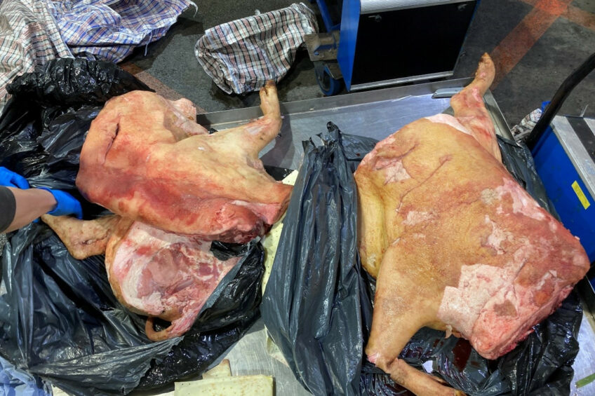 Contrabando de carne e laticínios ameaça segurança alimentar do Reino Unido, adverte relatório parlamentar