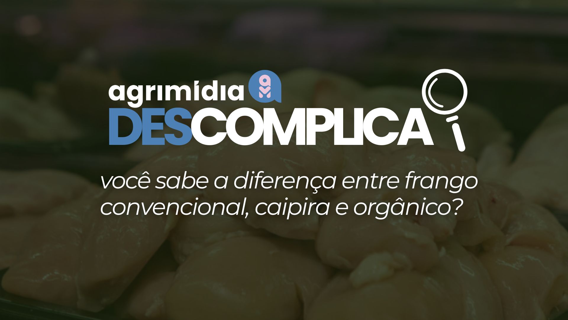 Agrimídia Descomplica: você sabe a diferença entre frango convencional, caipira e orgânico?