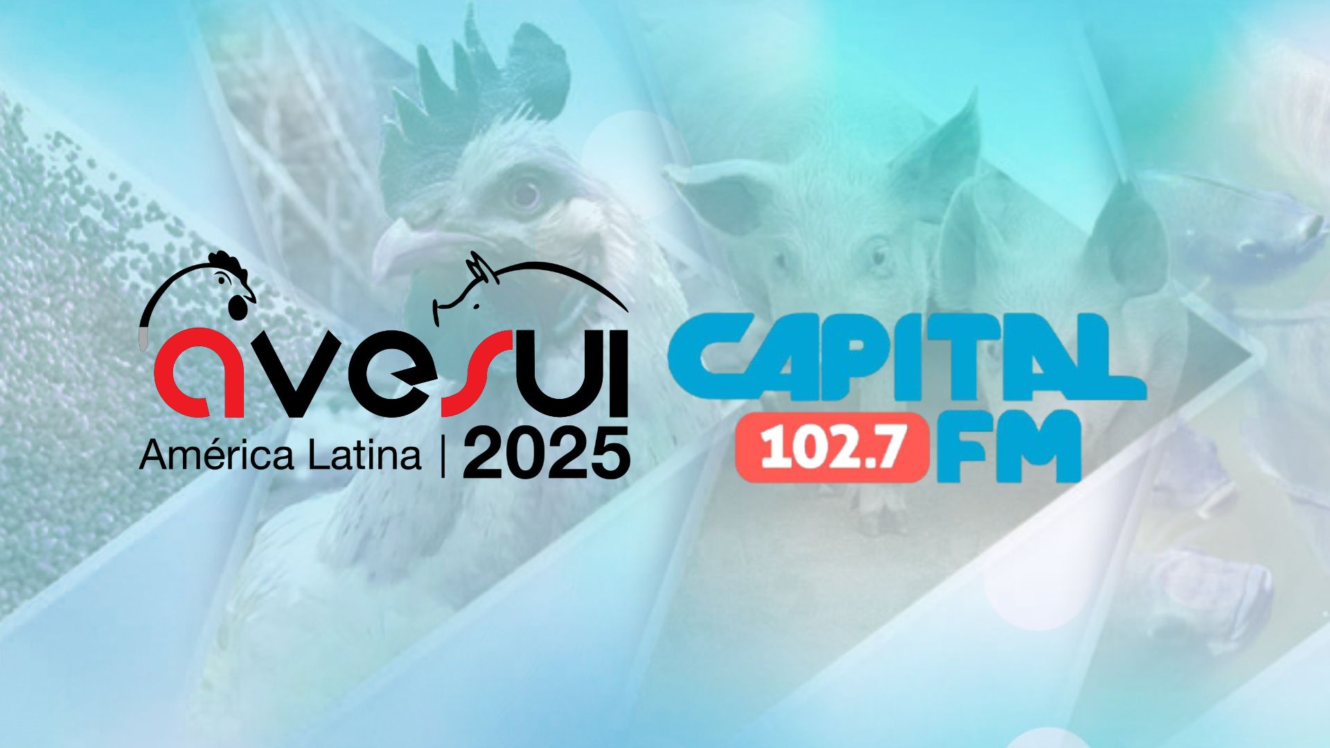 AveSui 2025 é destaque em entrevista na Capital FM 102.7 nesta quinta-feira (25) AveSui 2025 é destaque em entrevista na Capital FM 102.7 nesta quinta-feira (25)
