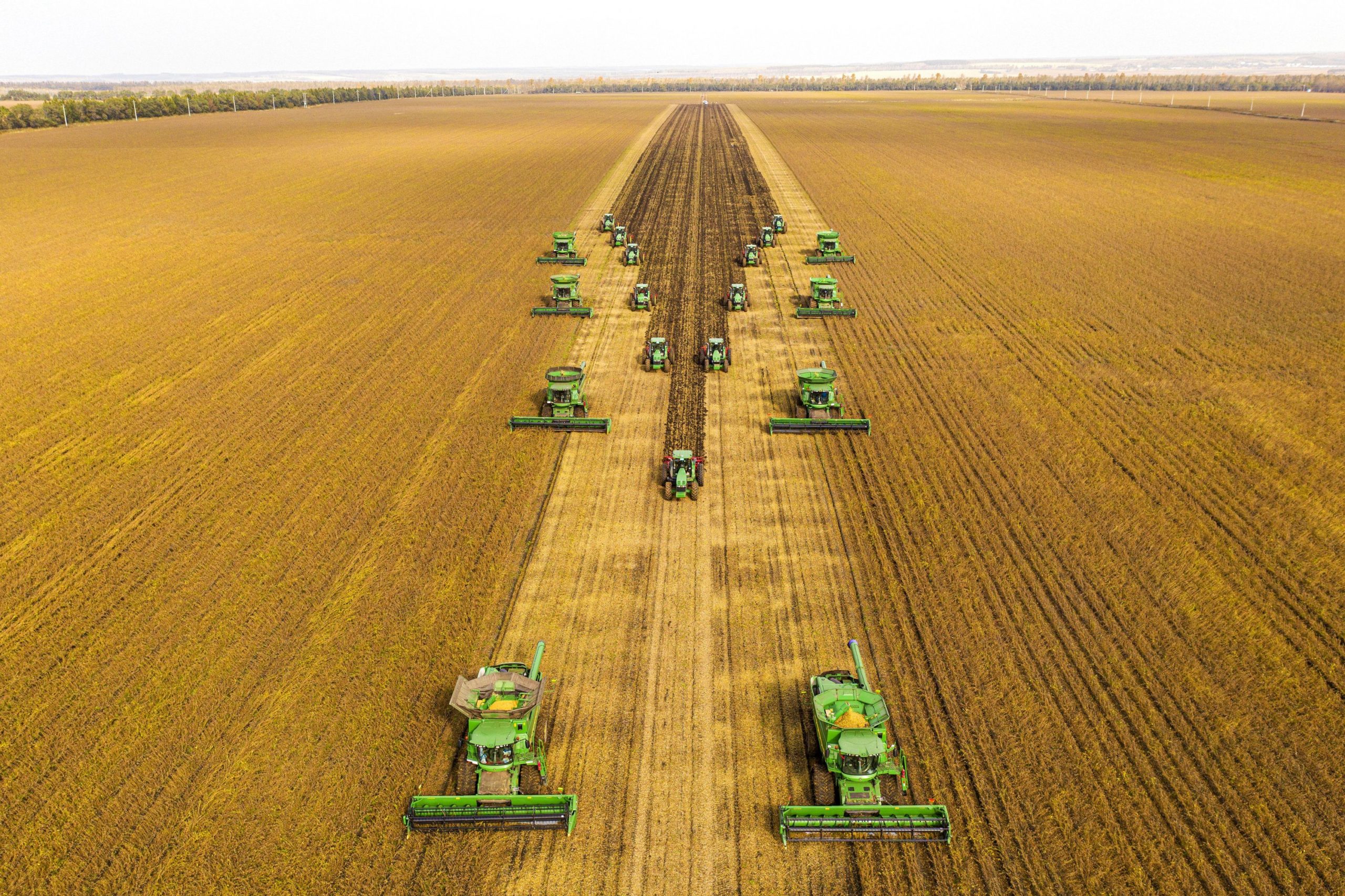 Mato Grosso supera Argentina e se torna líder global em produção agrícola, diz Imea Mato Grosso supera Argentina e se torna líder global em produção agrícola, diz Imea