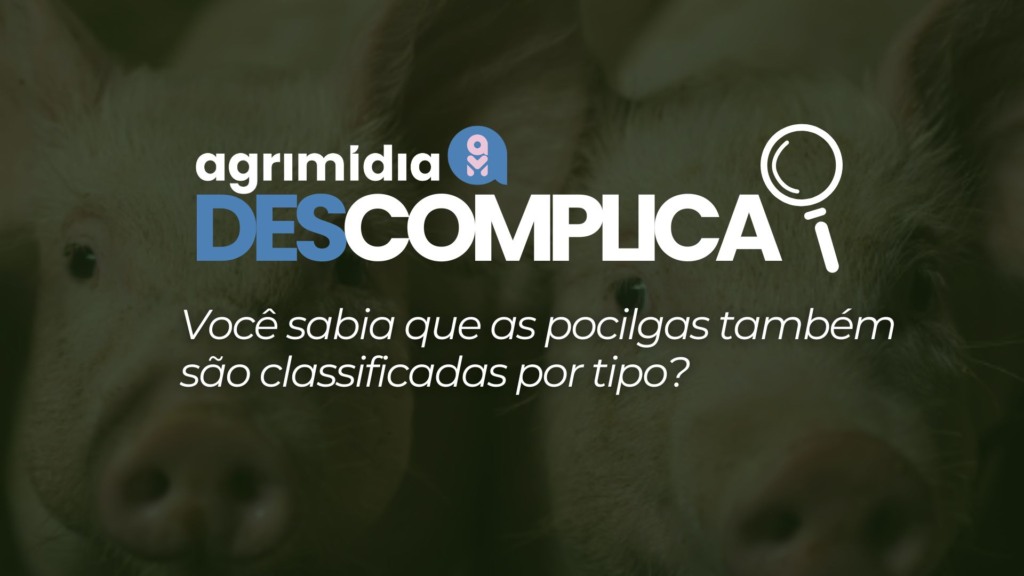 Agrimidia Descomplica: Você sabia que as pocilgas também são classificadas por tipo?