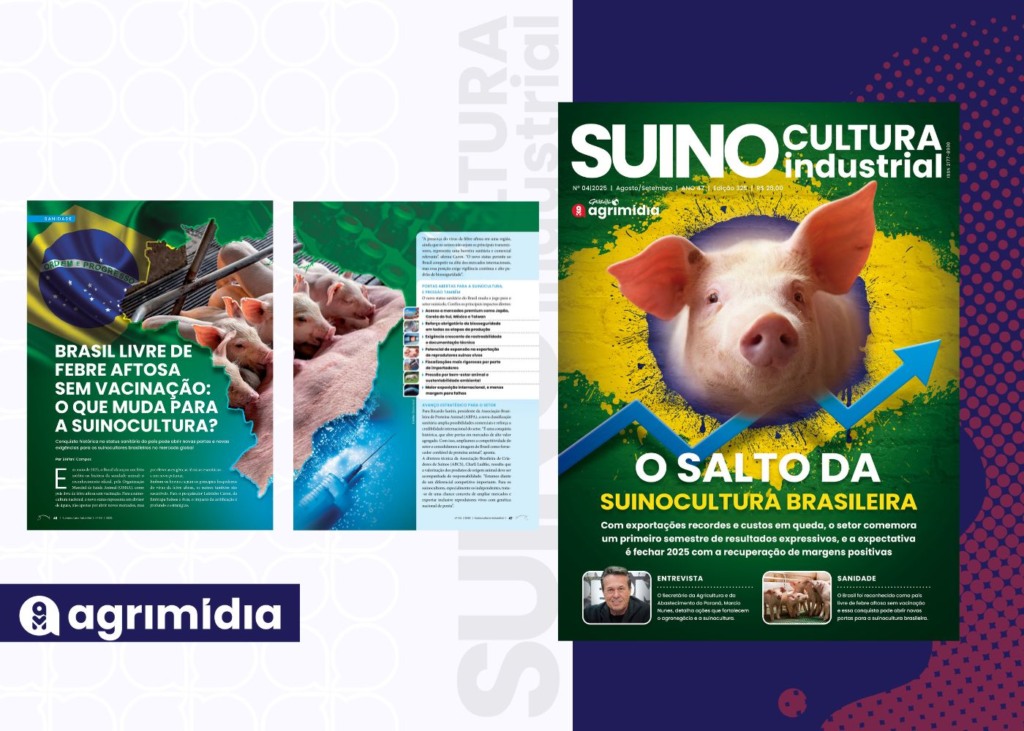 O que muda com Brasil livre de febre aftosa sem vacinação na edição de Agosto da Suinocultura Industrial