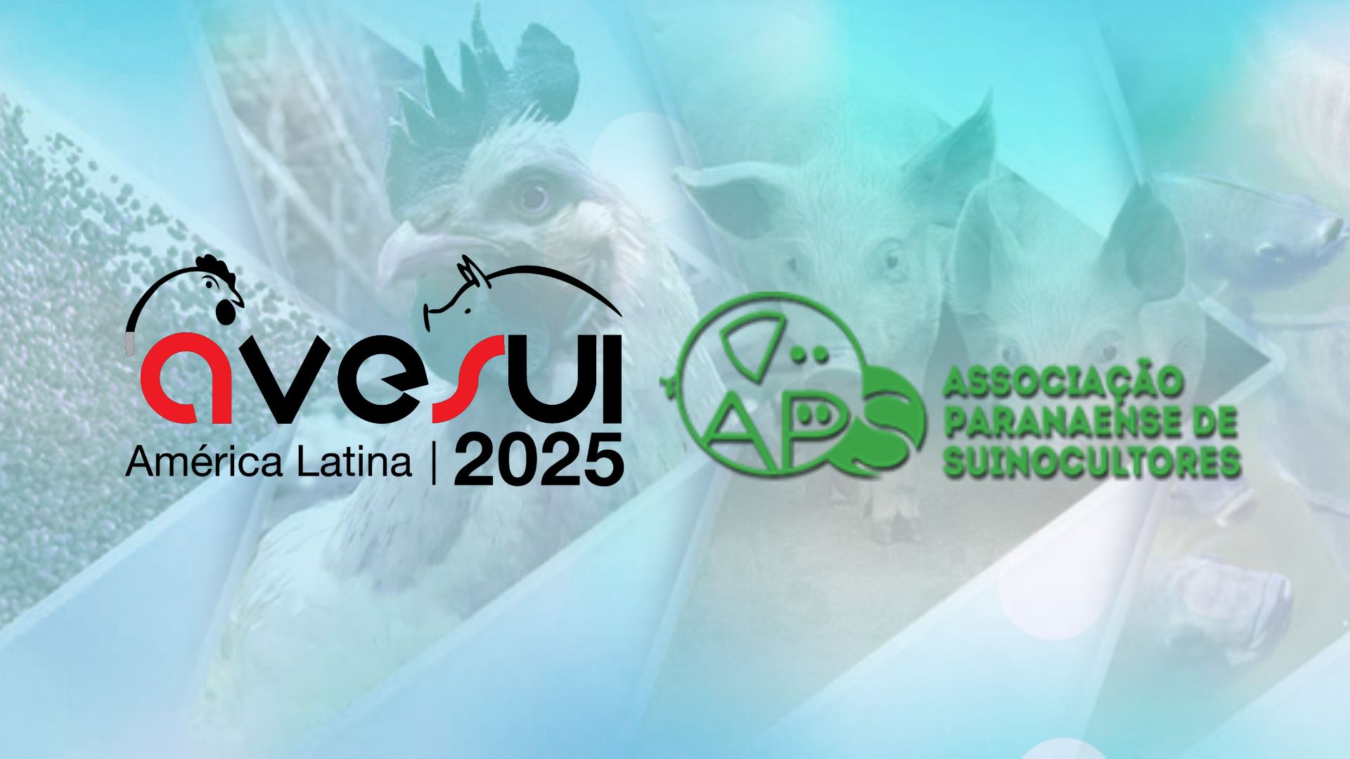 Associação Paranaense de Suinocultores reúne associações e produtores das principais regiões de cinco estados na AveSui 2025 Associação Paranaense de Suinocultores reúne associações e produtores das principais regiões de cinco estados na AveSui 2025