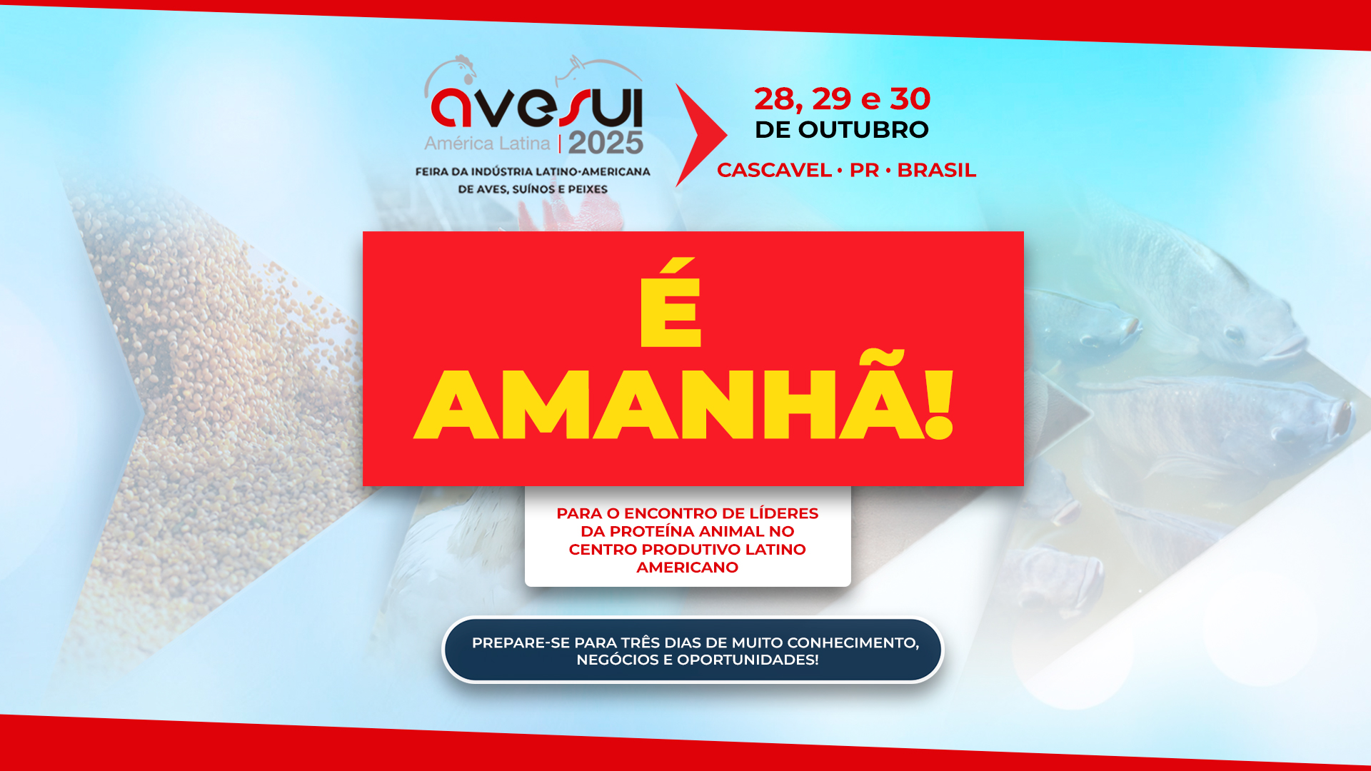 Tudo pronto para a AveSui 2025: feira começa amanhã em Cascavel (PR) com três dias de programação intensa e muito networking