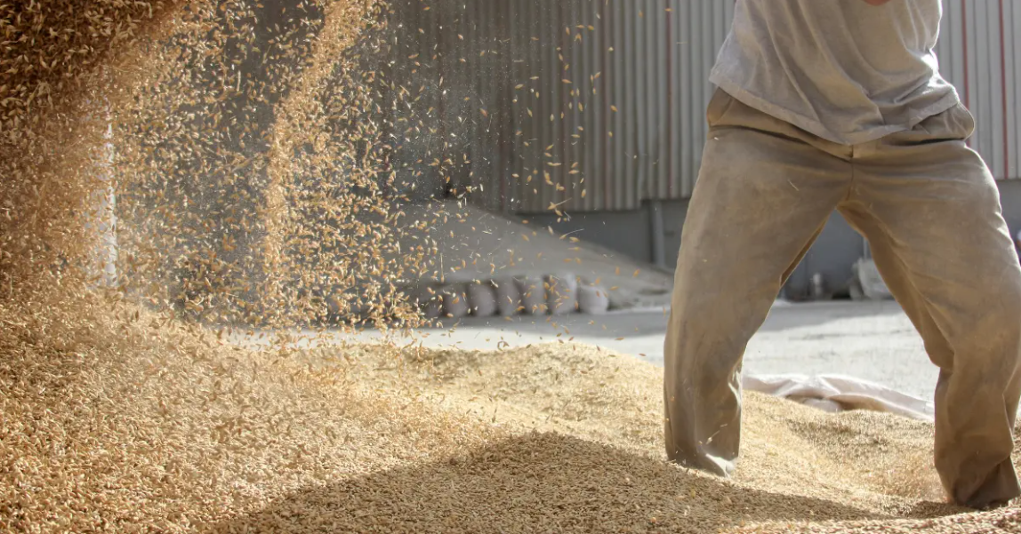 Regulação em transformação impulsiona o futuro da alimentação animal no painel da AveSui 2025 Regulação em transformação impulsiona o futuro da alimentação animal no painel da AveSui 2025