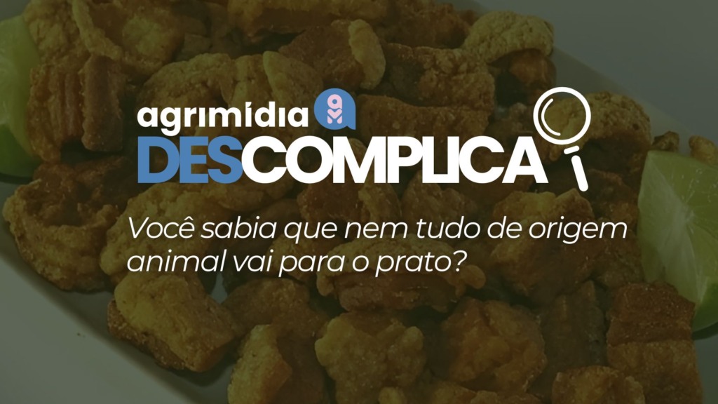 Você sabia que o torresmo pode ser mais nutritivo do que muitos suplementos?