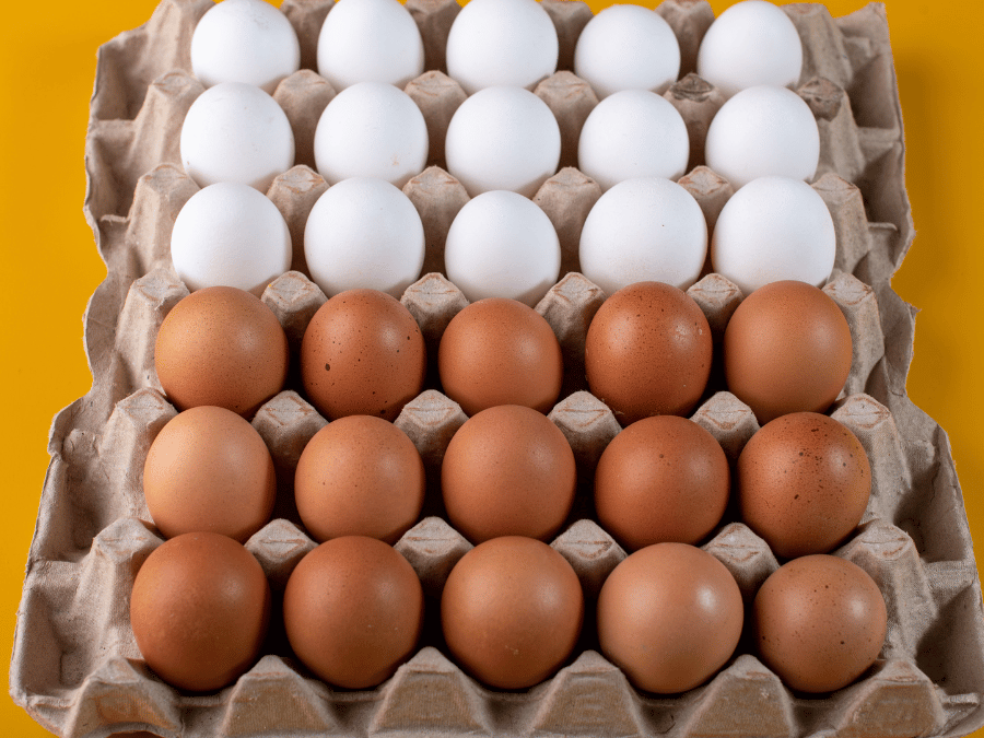 Diferença entre ovos brancos e vermelhos atinge menor nível em quase um ano