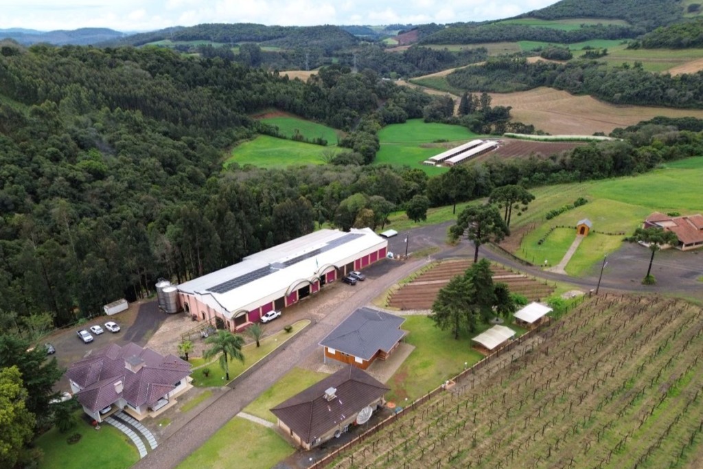 Justiça autoriza retomada de obras em granja de suínos próxima a vinícola em Santa Catarina: Quais implicações?