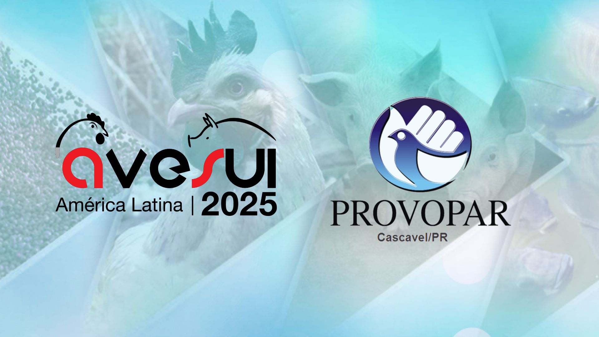 AveSui 2025: A Sustentabilidade Além do Estande – O Agro Que Alimenta o Planeta e a Esperança AveSui 2025: A Sustentabilidade Além do Estande – O Agro Que Alimenta o Planeta e a Esperança