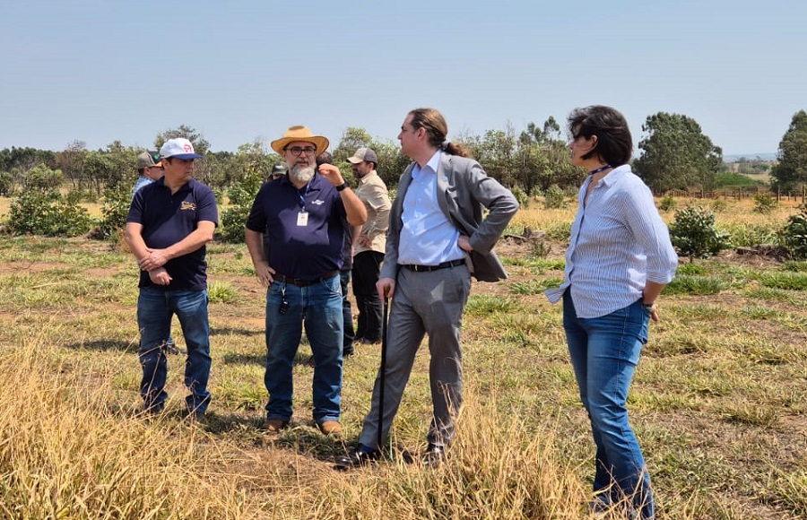 Tecnologias agrícolas brasileiras podem inspirar o desenvolvimento sustentável global, afirma Diretor da FAO