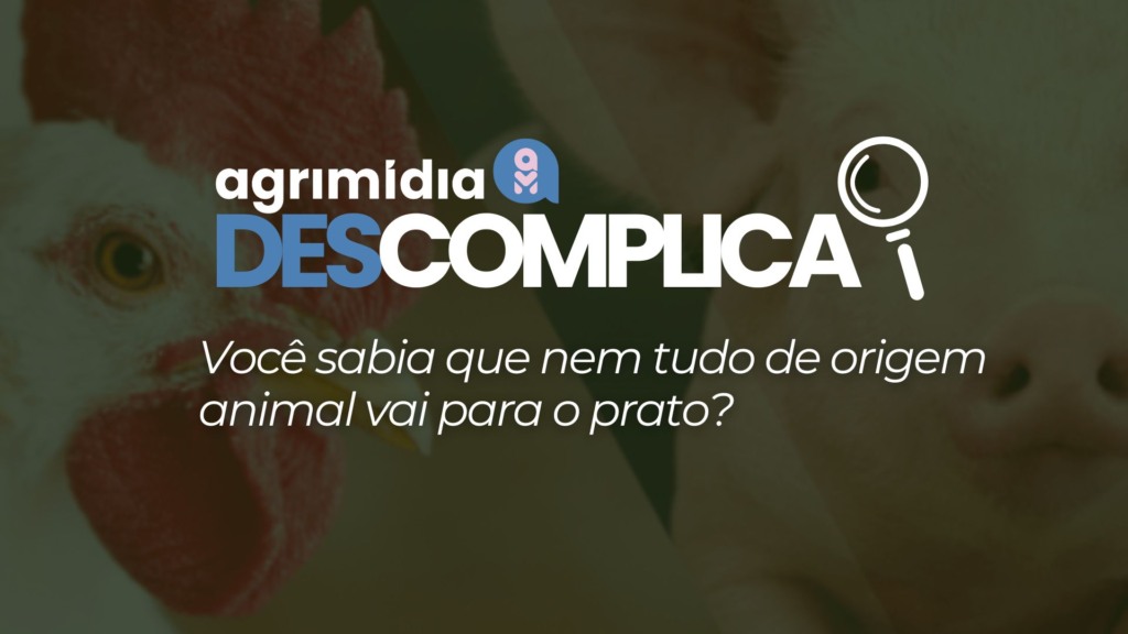 Agrimídia Descomplica: Você sabia que nem tudo de origem animal vai para o prato?