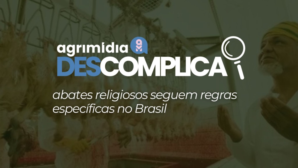 Agrimídia Descomplica: abates religiosos seguem regras específicas no Brasil