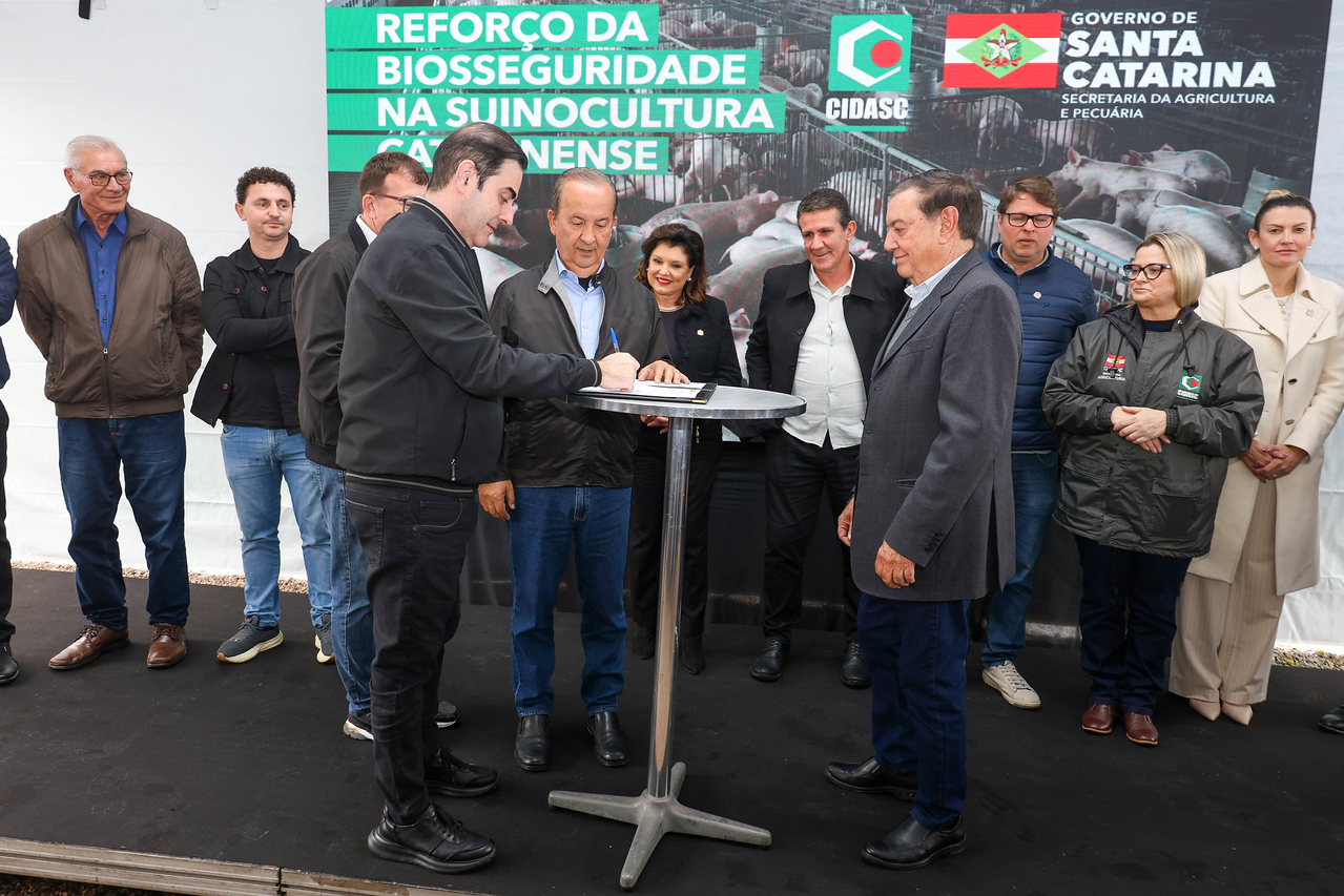Santa Catarina oferece crédito de até R$ 70 mil para novas regras de biosseguridade na suinocultura