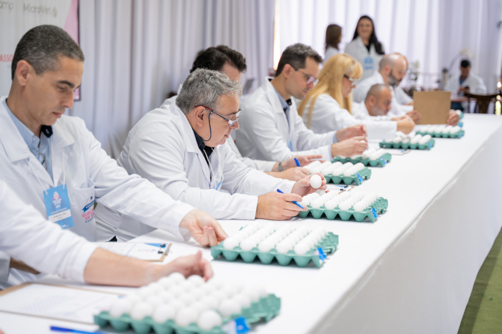 AVES realiza 1º encontro da avicultura capixaba com foco em qualidade e integração