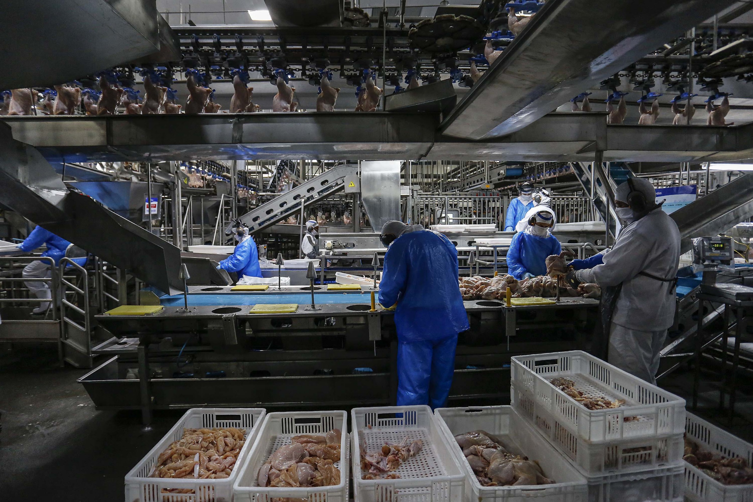 Paraná retira carne de aves cozidas da substituição tributária para aumentar competitividade Paraná retira carne de aves cozidas da substituição tributária para aumentar competitividade