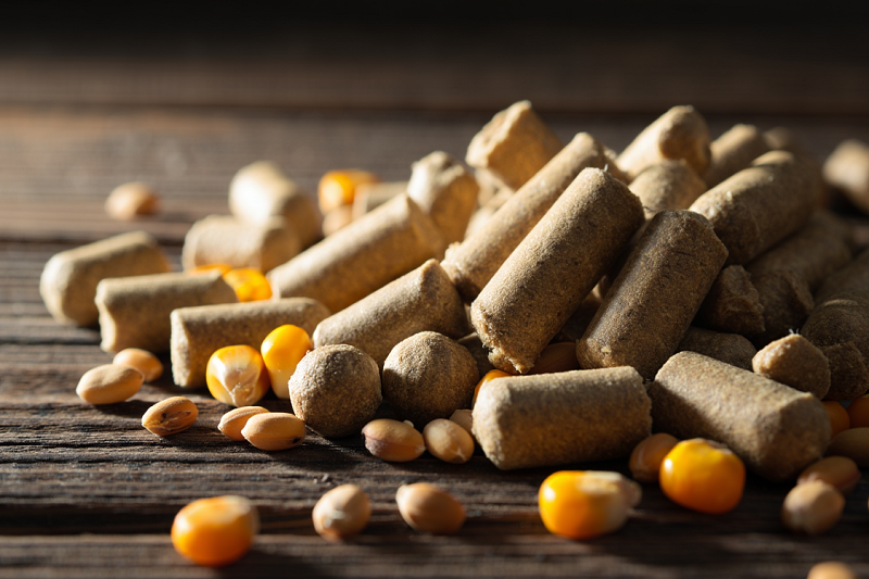 Indústria de rações da França cresce, mas teme impacto de doenças e custo da soja