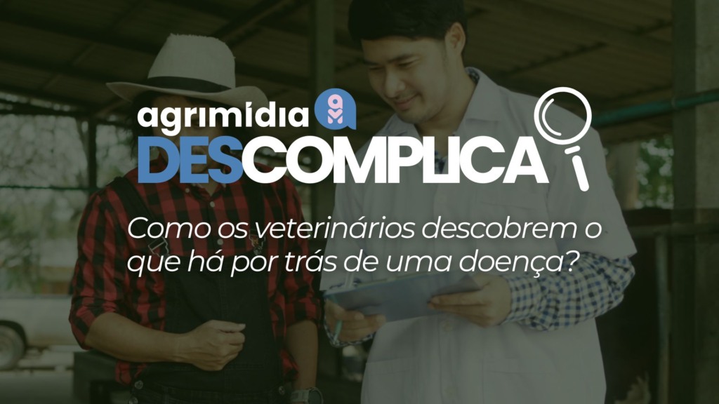 Como os veterinários descobrem o que há por trás de uma doença?