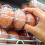 Surto de Salmonella nos EUA motiva recall de 1,6 milhão de dúzias de ovos