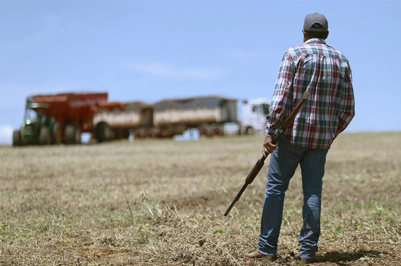 Projeto no Senado que facilita compra de armas para produtores aprovado pela CSP
