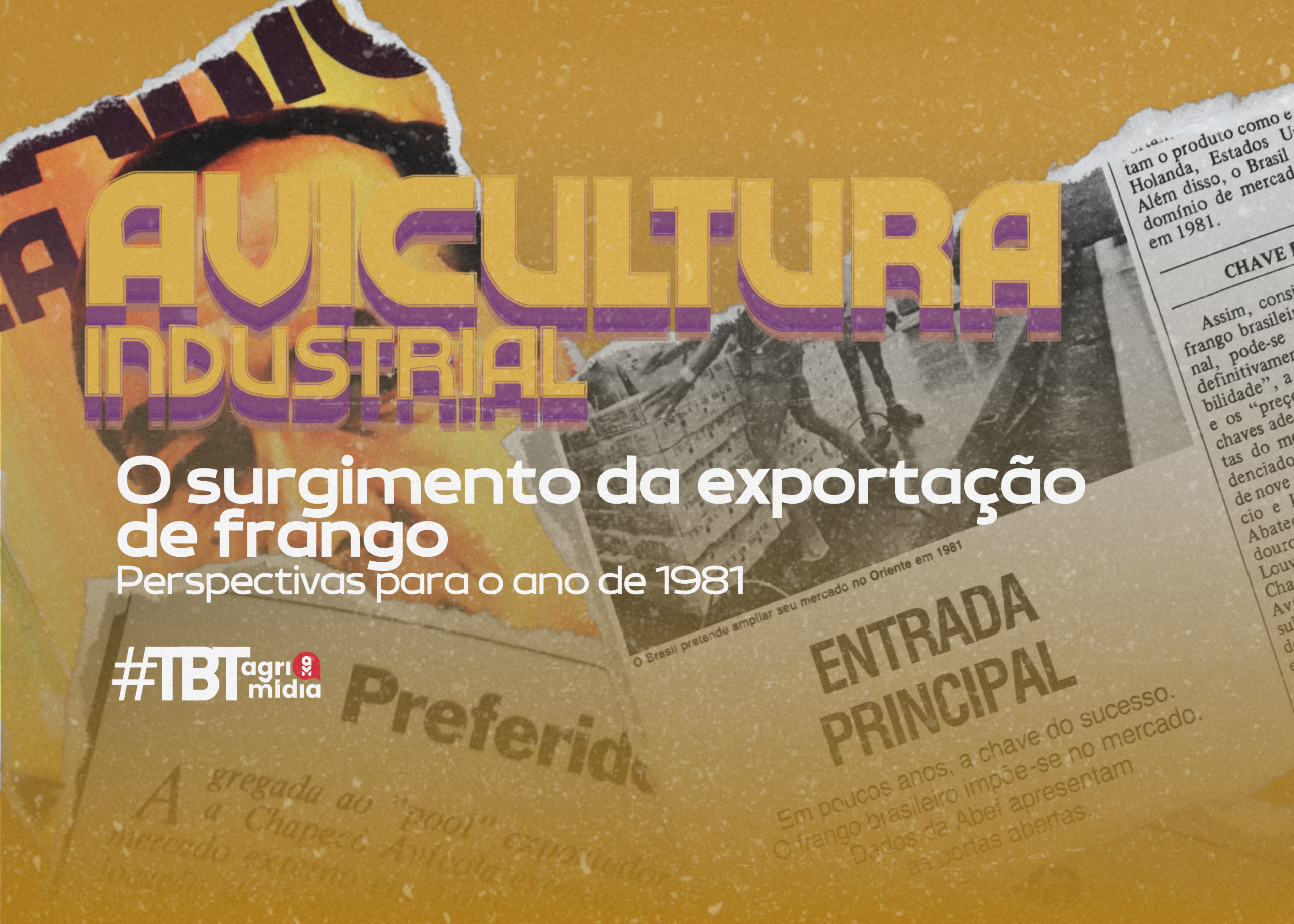 #TBTAgrimídia: Perspectivas e expectativas na avicultura na década de 1980